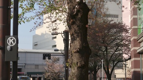 20220409165215_IMG_3359