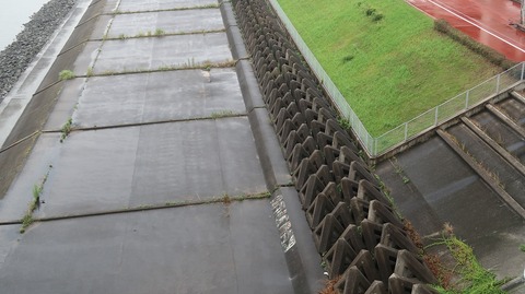 20220716141000_IMG_4994