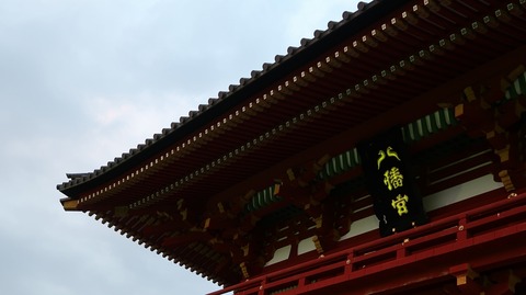 20190223172853_IMG_1120