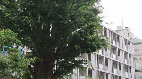 20230610174309_IMG_8513