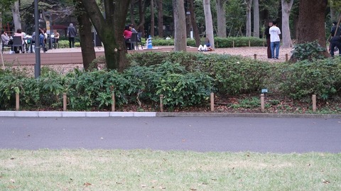 20221016160445_IMG_6628