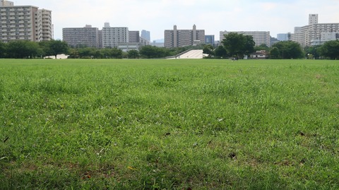 20220807153149_IMG_5430