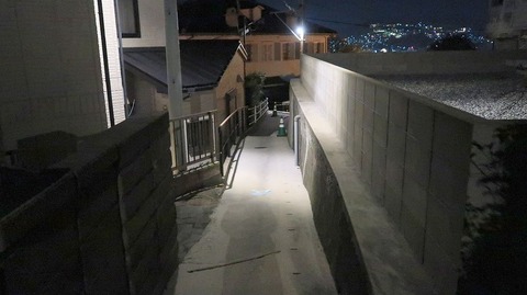 20200223235504_IMG_6115