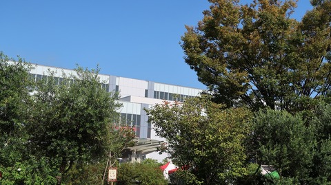 20190915090724_IMG_3691