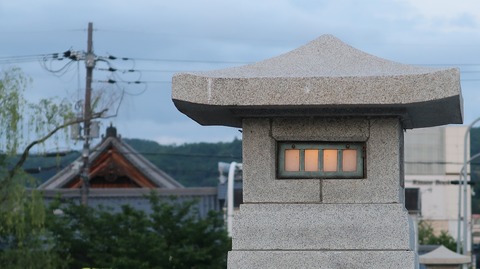 20220430190711_IMG_3708