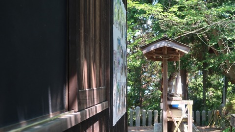 20220701142154_IMG_4737