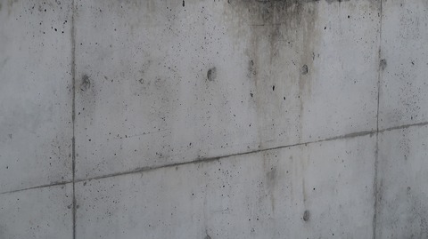 20210206154400_IMG_0224