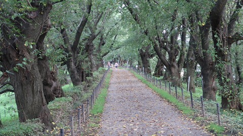 20200801163805_IMG_6920