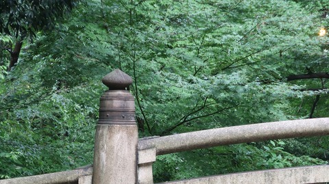 20200726175317_IMG_6790