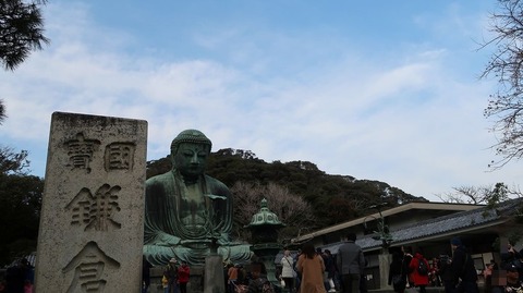 20190223153315_IMG_1062