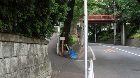 20200531155031_IMG_6384