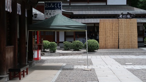 20200810121655_IMG_7209