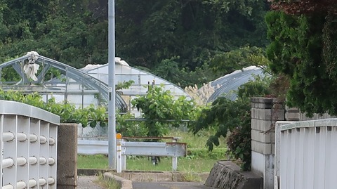 20200920112915_IMG_7953