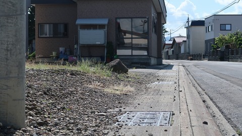 20200920133412_IMG_8049