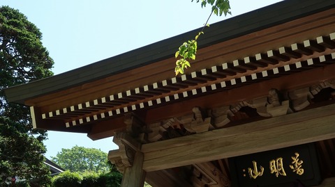 20190525121316_IMG_2389