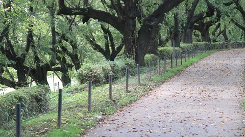 20200801164127_IMG_6923