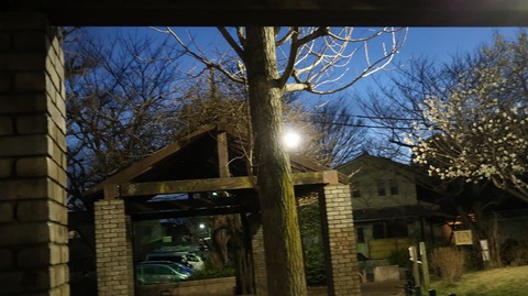 20190321182918_IMG_1199