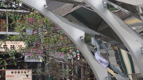 20231001121219_IMG_9555