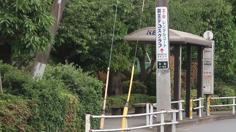 20220515181240_IMG_4295