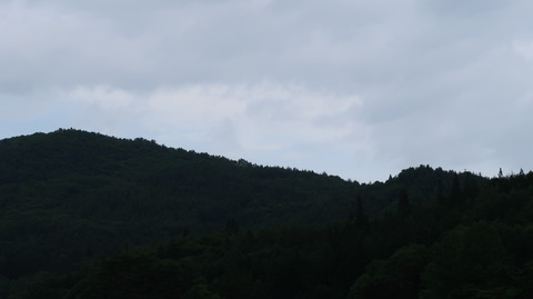 20190713131409_IMG_2842