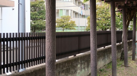 20210501174226_IMG_1266