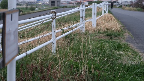 20210404180852_IMG_1020