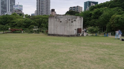 20220508175249_IMG_4201