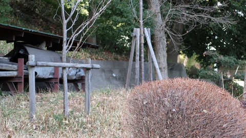 20190210135447_IMG_0913