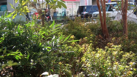 20210223131107_IMG_0652