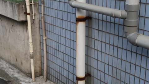 20220410172331_IMG_3419