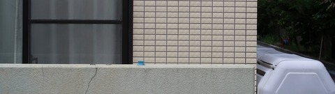 20190813133159_IMG_3271