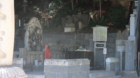 20230811145753_IMG_8976