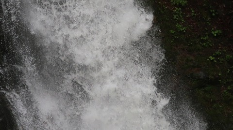 20230506145239_IMG_8192