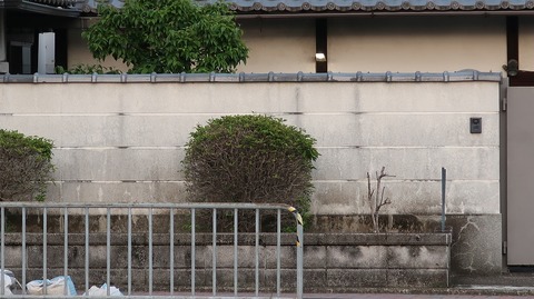 20220430185521_IMG_3694