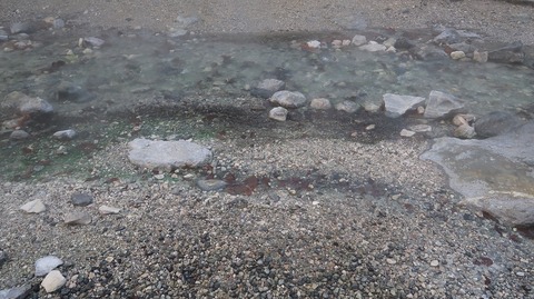 20231117154451_IMG_0476