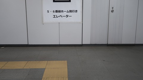 20231112090324_IMG_0373