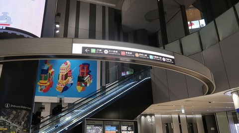 20231001081142_IMG_9427