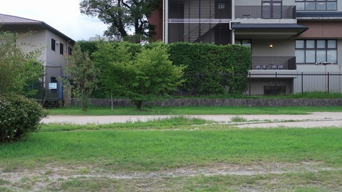 20220812154620_IMG_5724