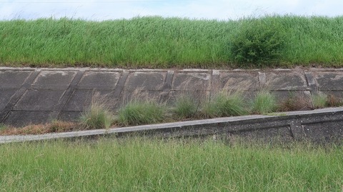 20190816105653_IMG_3324