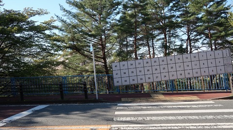 20190413151504_IMG_1901