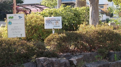 20190413154647_IMG_1919