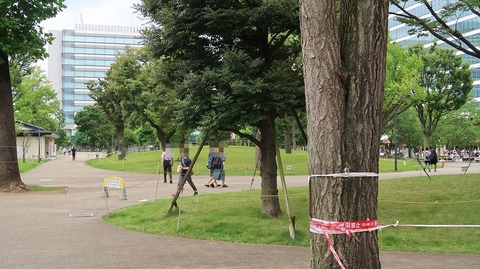 20210627151826_IMG_1636