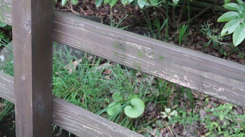 20200810162139_IMG_7282