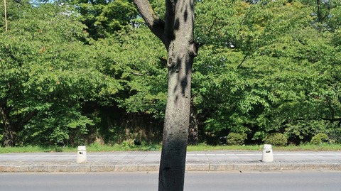 20200921115230_IMG_8126