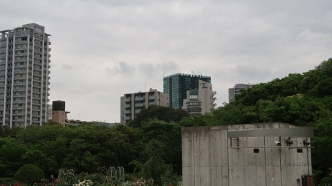 20220508174638_IMG_4192