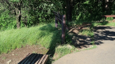 20190616161350_IMG_2609