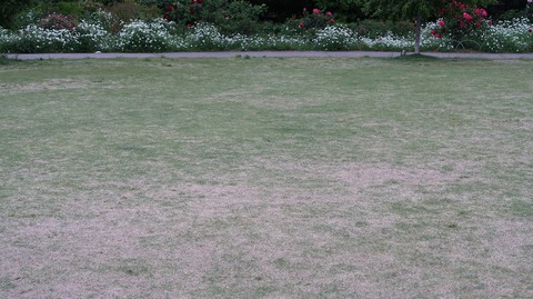 20220508175431_IMG_4204