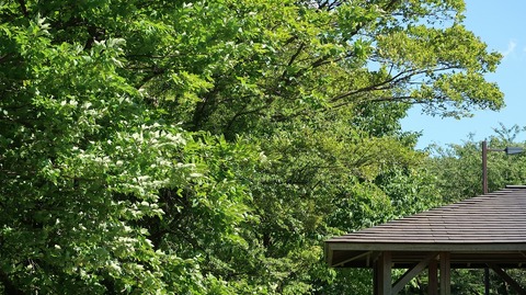 20190616151905_IMG_2597