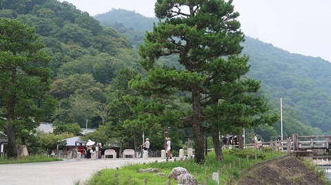 20200808112428_IMG_7106