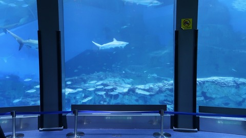 20211205143820_IMG_2381